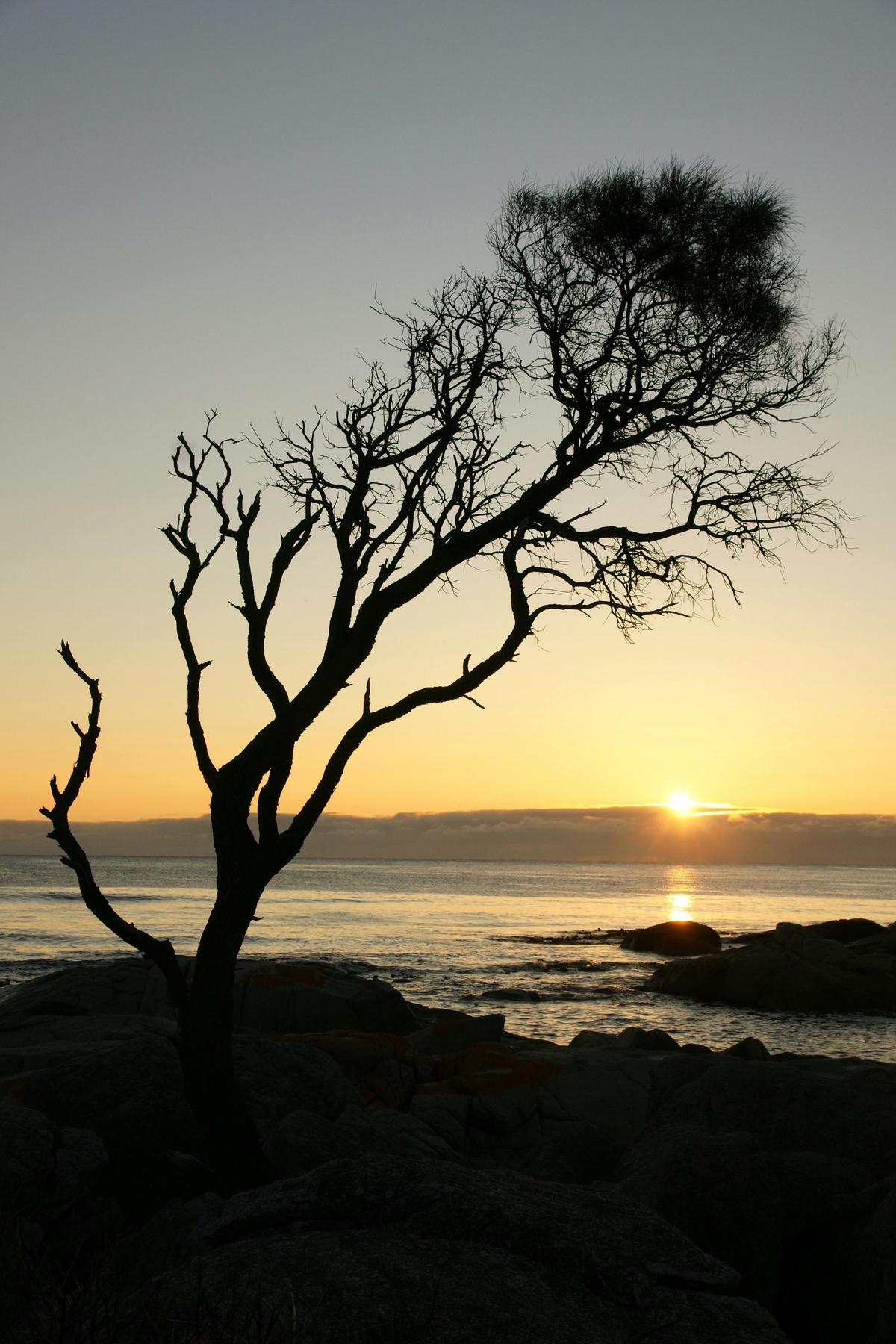 Full & Half Day Tour Bay of Fires and Beyond
