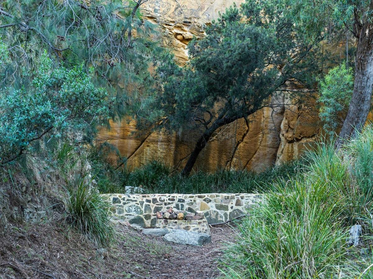 Waverley Wildflower Walk 3