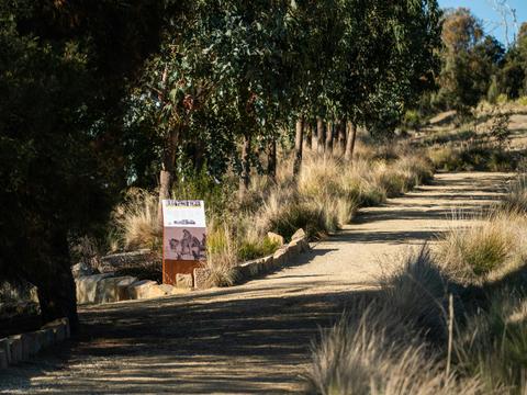 Waverley Wildlife Walk