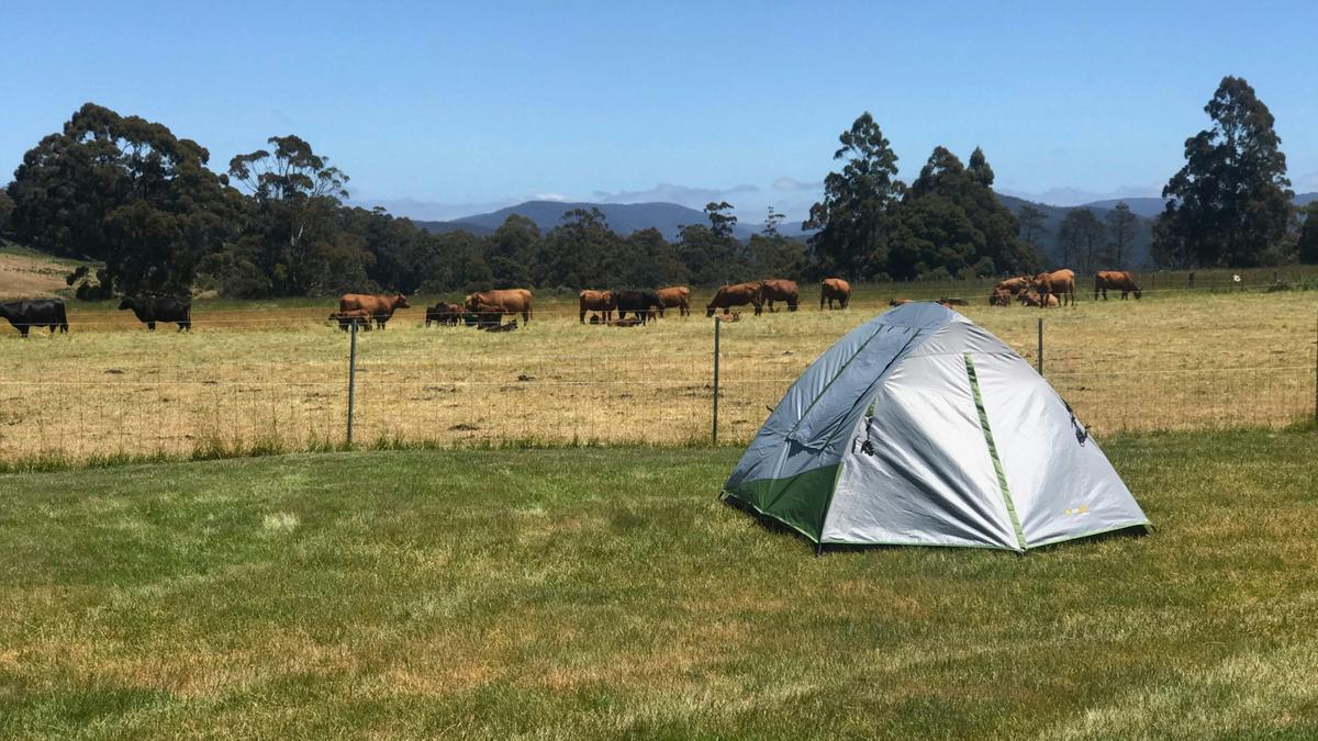 On Farm camping close to Cradle Mountain at The Farm Cradle Country Camp Ground.