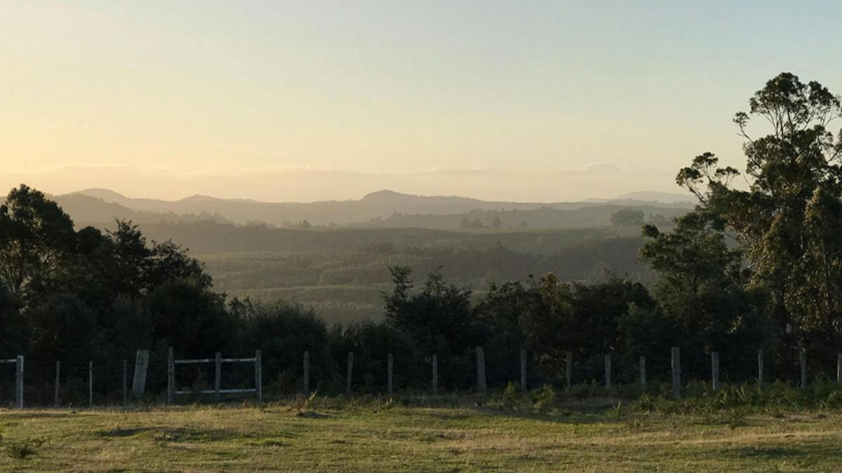A farm on a mountain surrounded by mountains. Views in all directions and from all campsites,