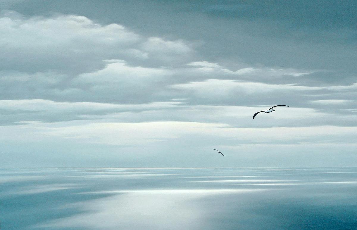 Bass Strait Albatross, Tasmania. Oil painting by Richard Stanley.