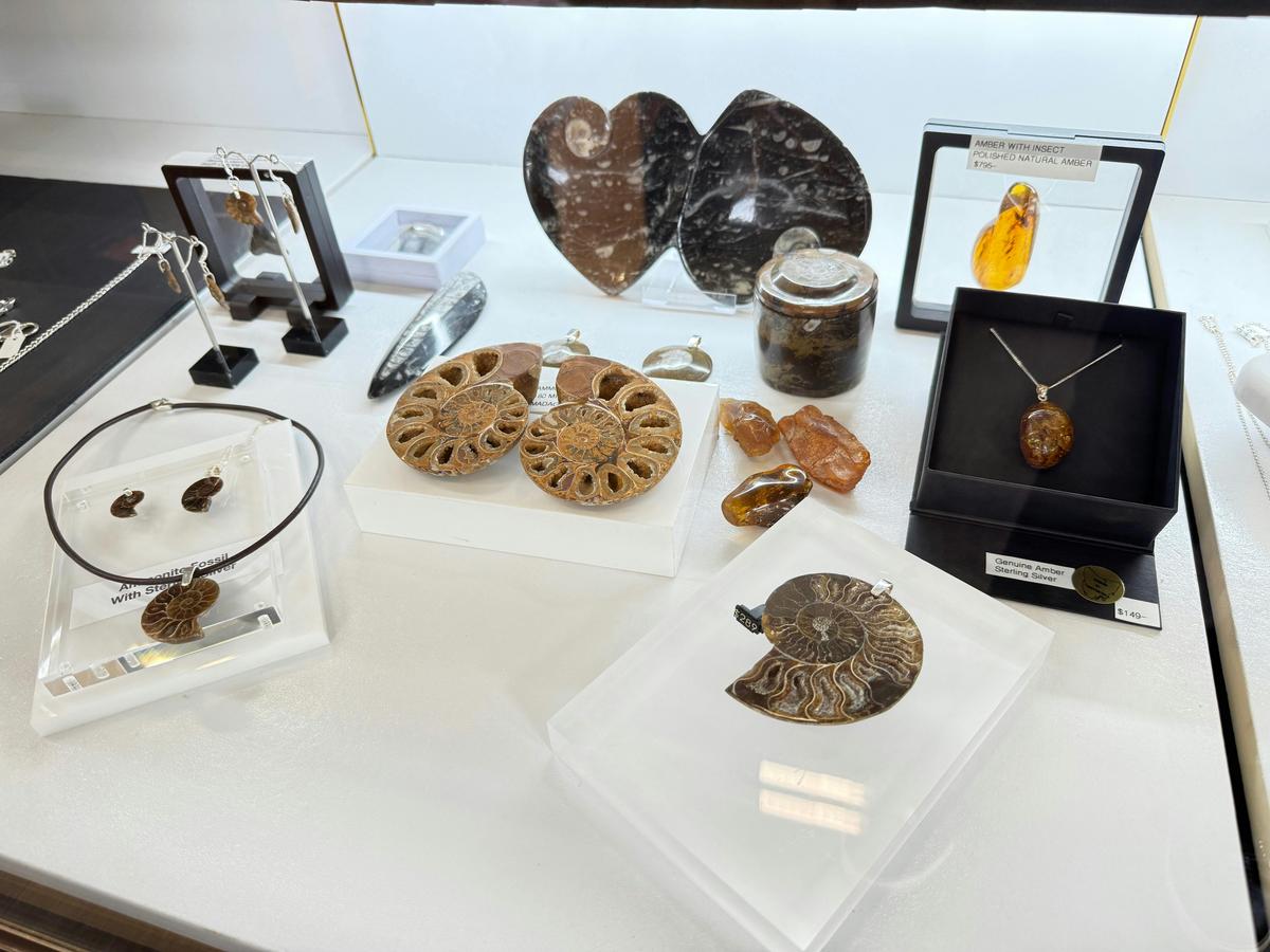 Real Fossils and fossil Jewelley made on site