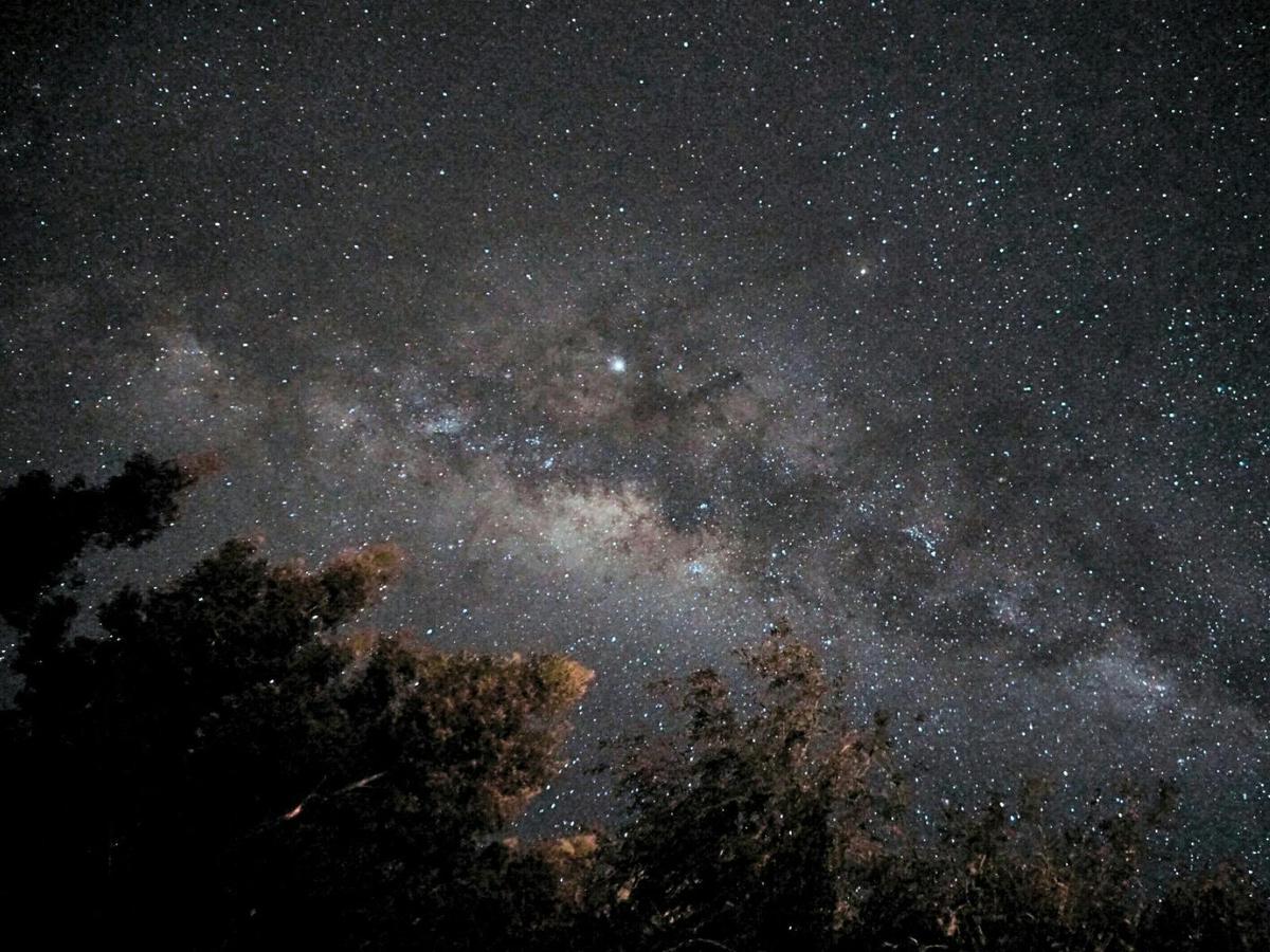 Starlit Tasmania – Stargazing Experiences