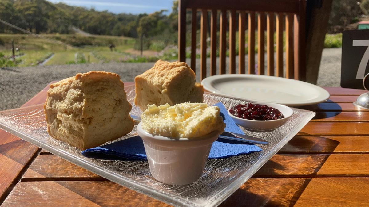 Freycinet National Park Private Tour