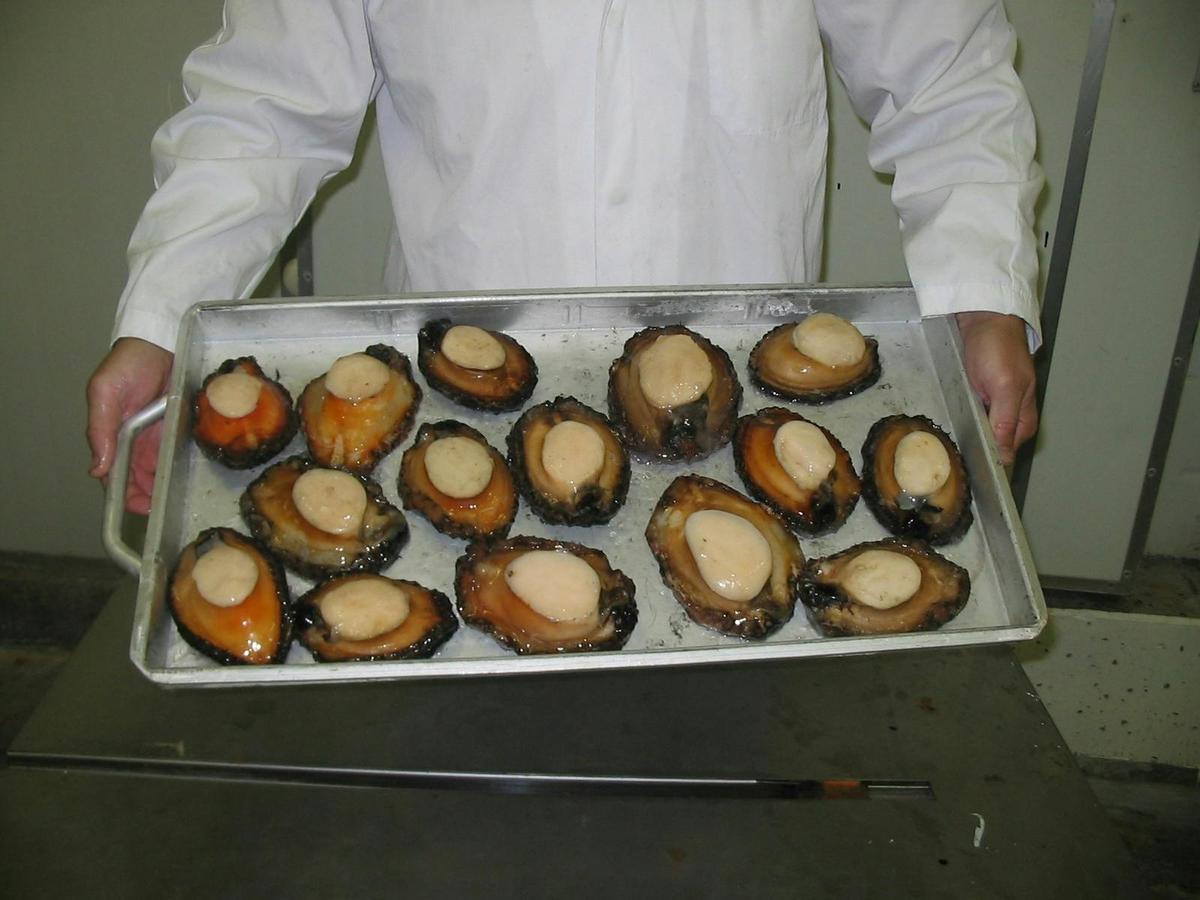 Freshly Schucked wild caught Blacklip Abalone