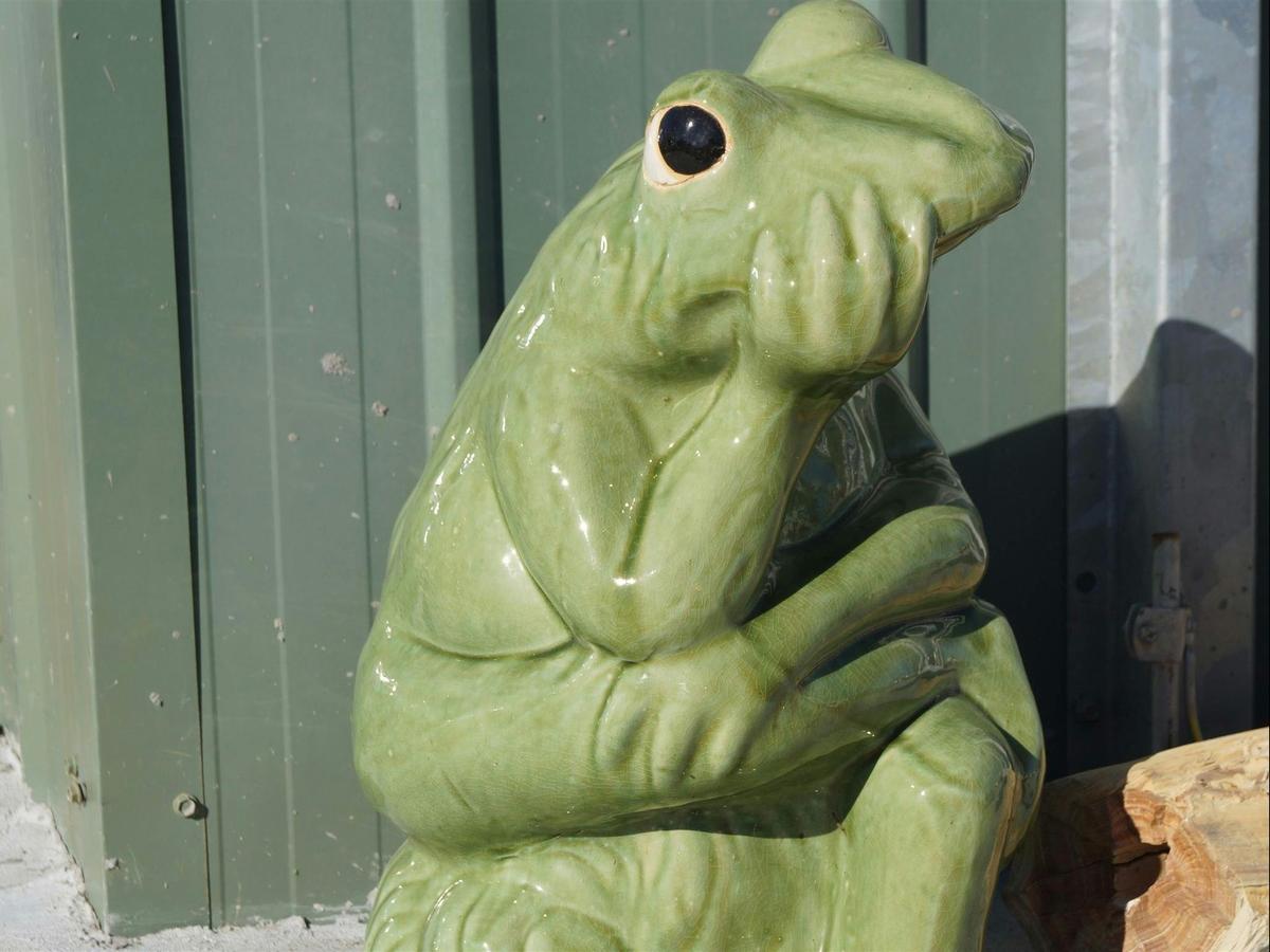 A pondering frog