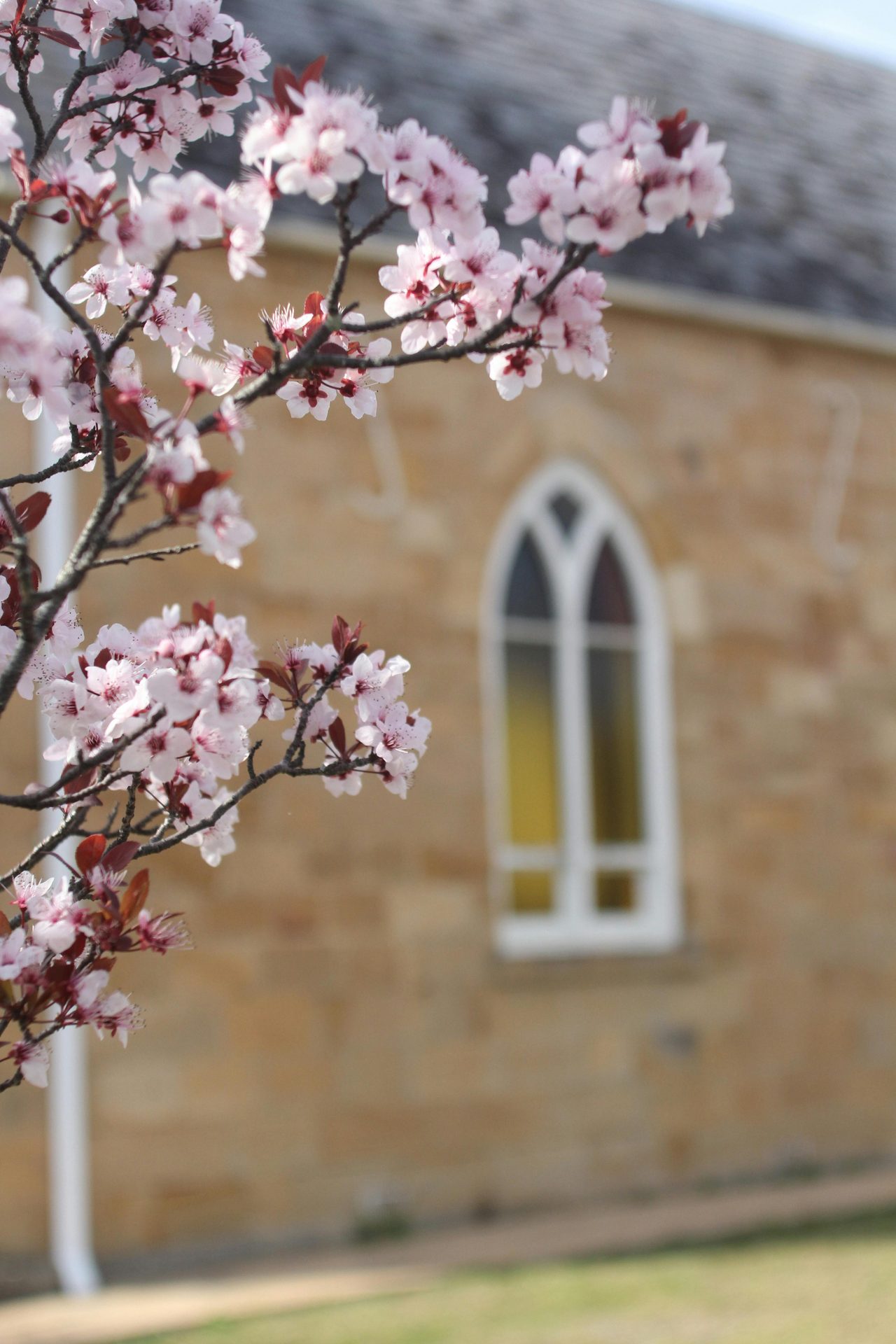 St Bedes Catholic Church
