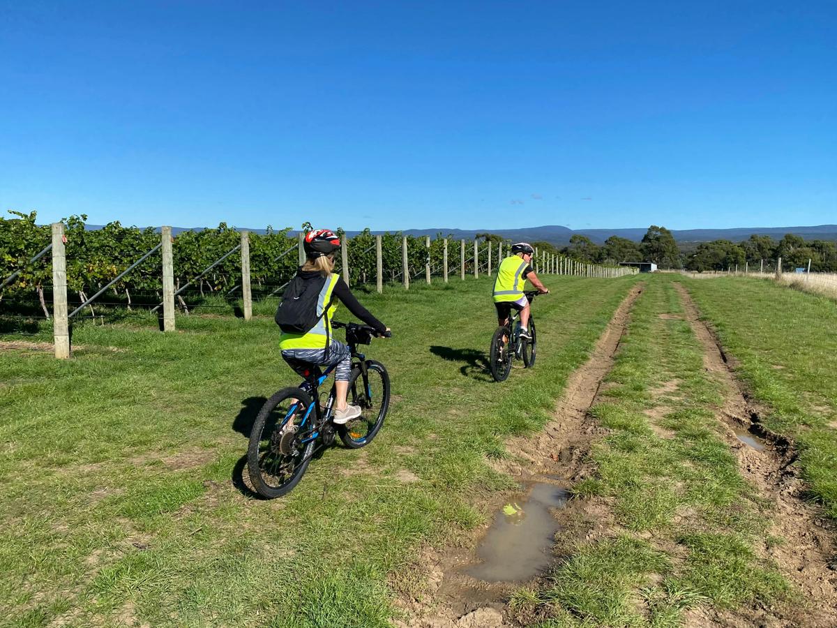 Cycling through Melrose Vineyard