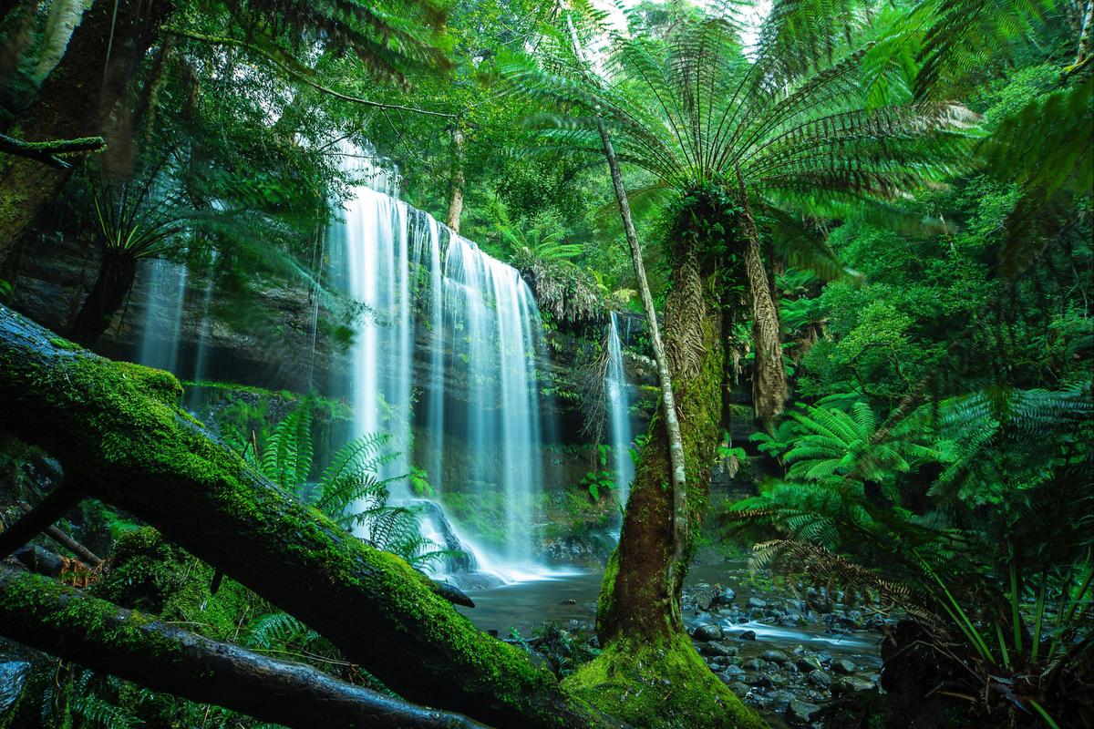 Tasmania Photography Tours