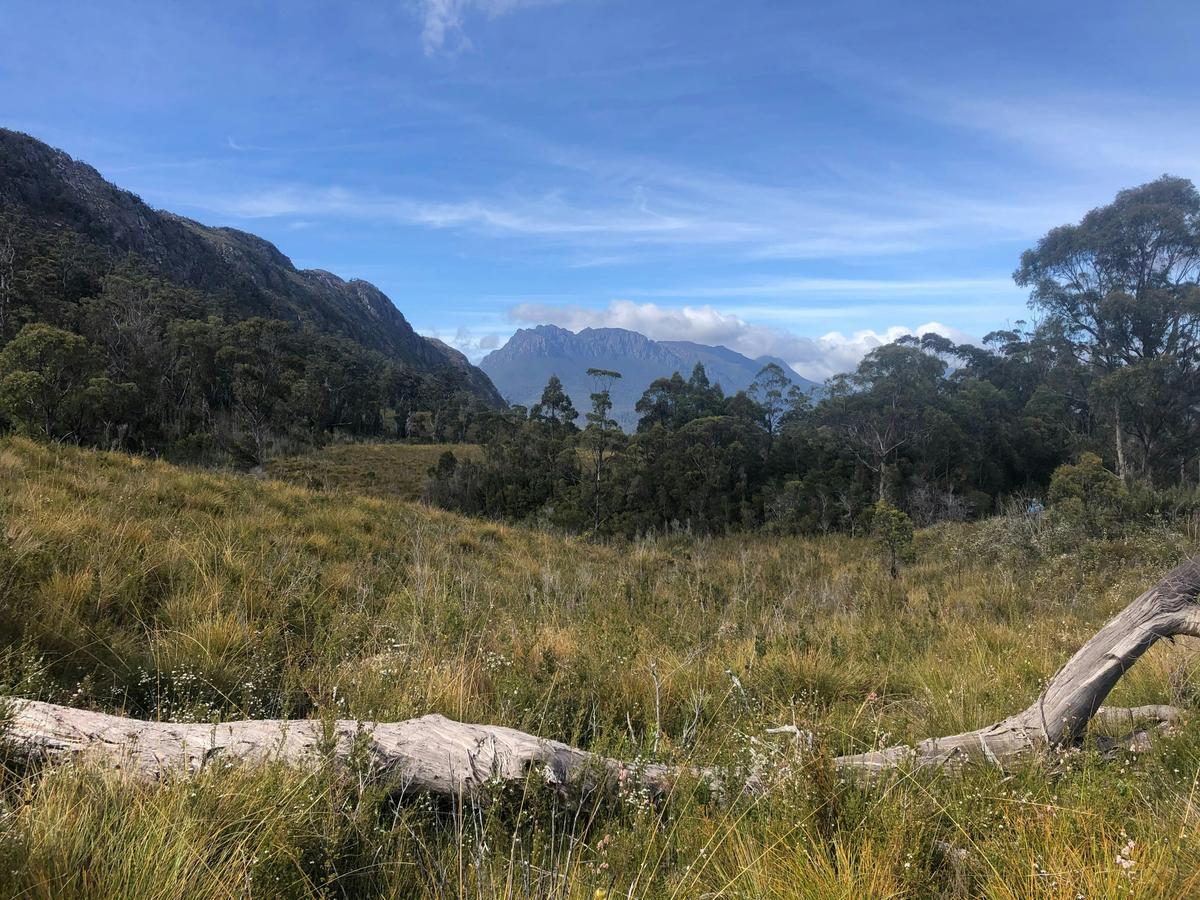 Tarkine and the West Walking Tours