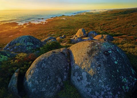 Tarkine Coast Expedition (six days)