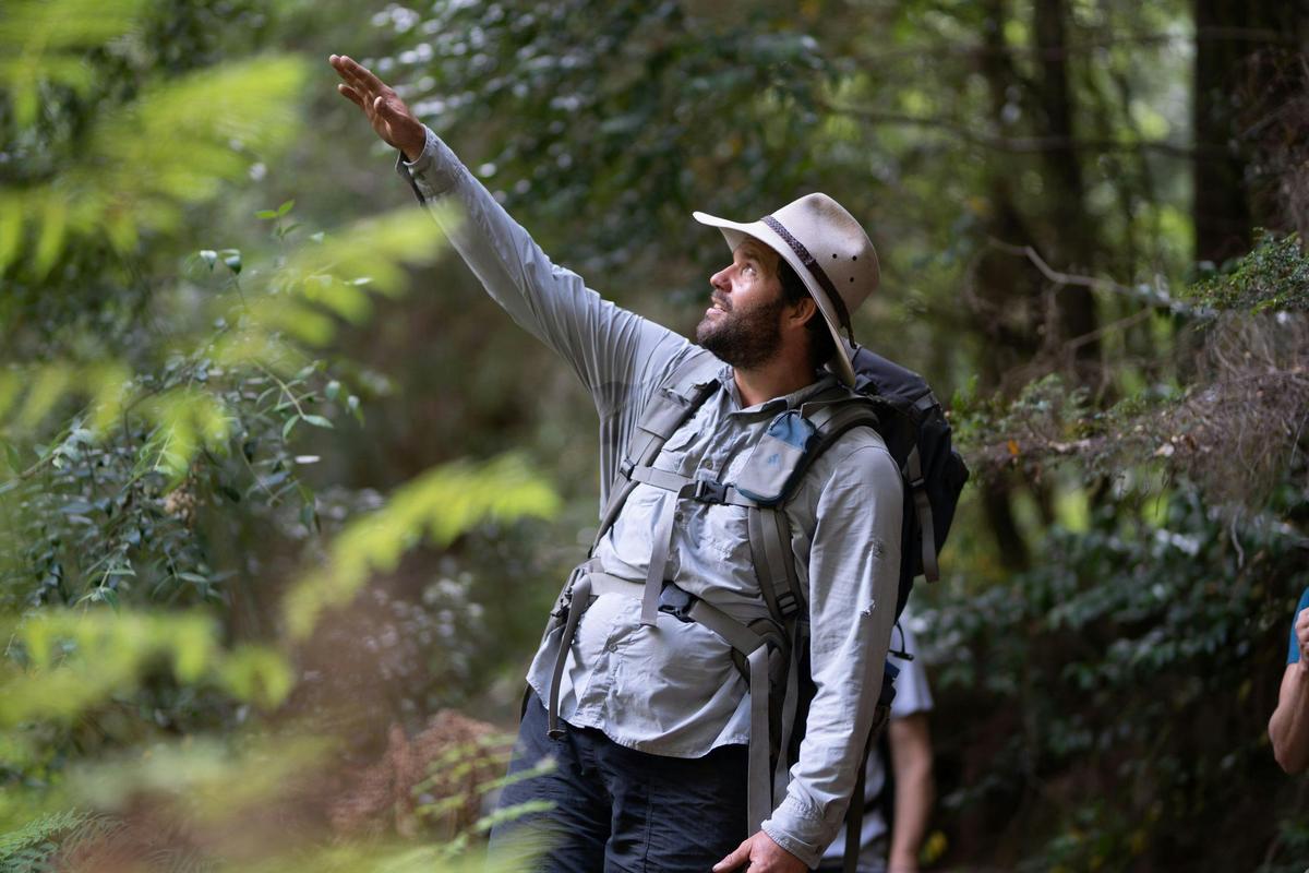 Four Day Tarkine Rainforest Experience