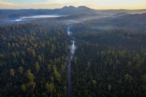 Six Day Tarkine Rainforest Expedition