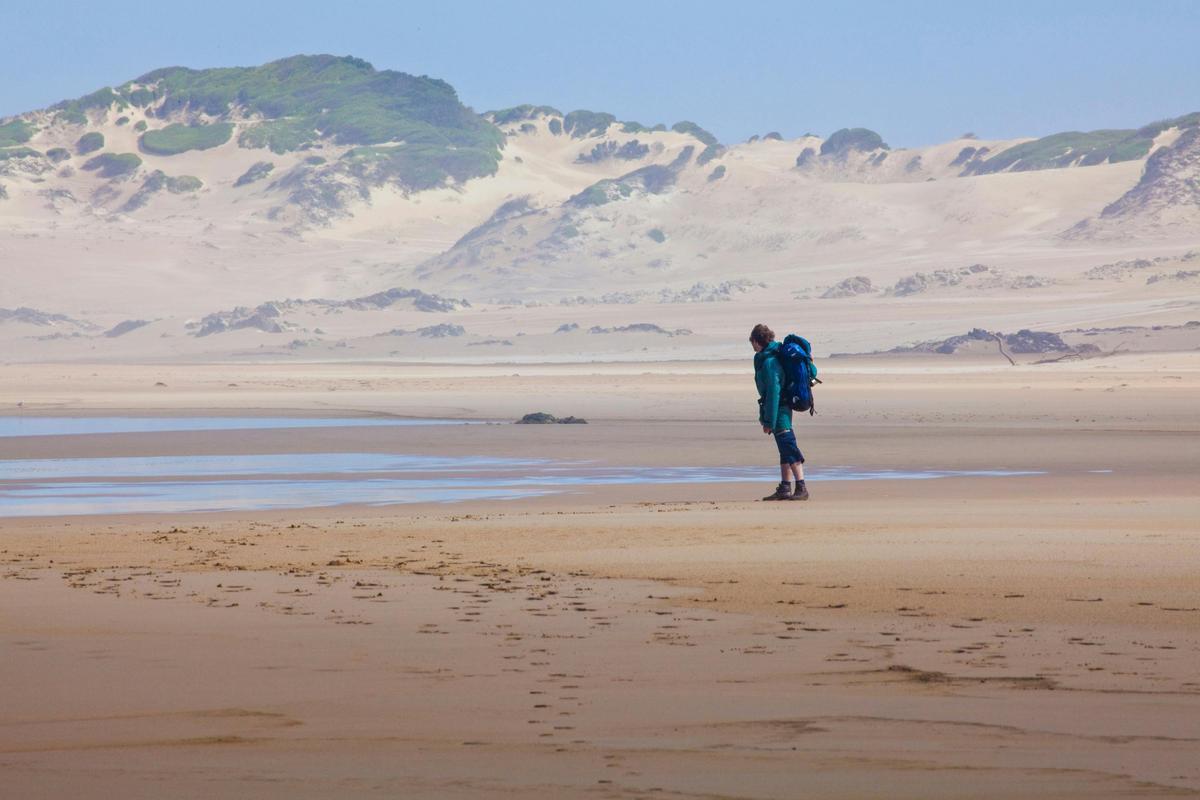 Tarkine Coast Expedition (six days)