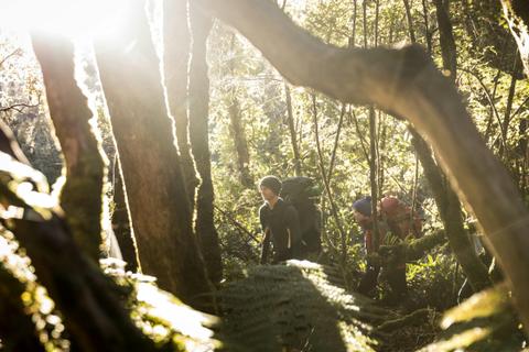 Tasman National Park