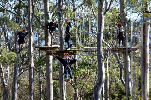 TreeClimb Hobart