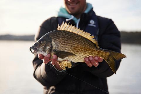 Derwent Estuary Tours