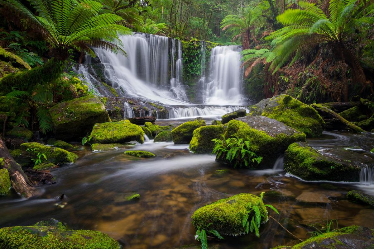 Horseshoe Falls - Mt Field
