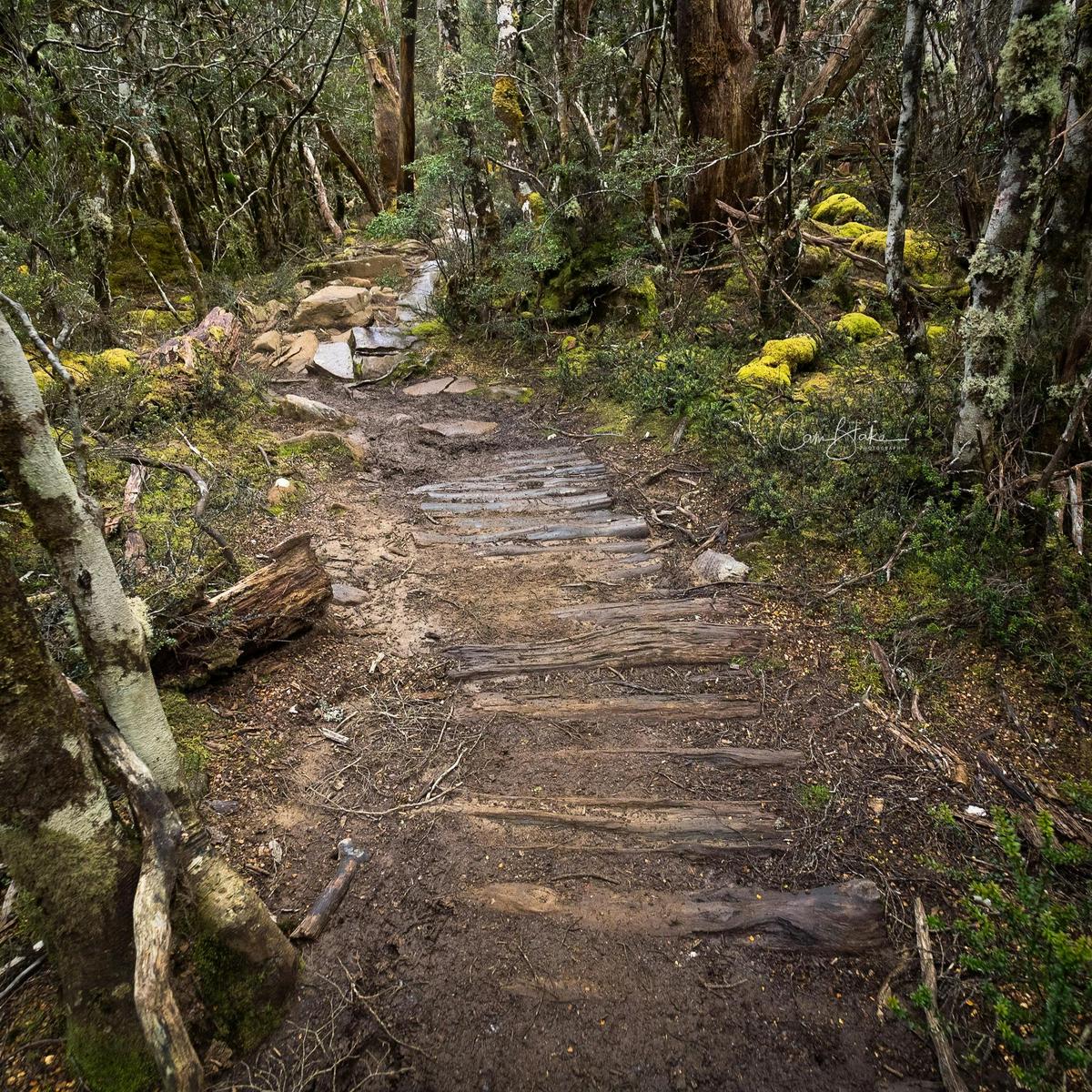 Overland Track Photo Tour