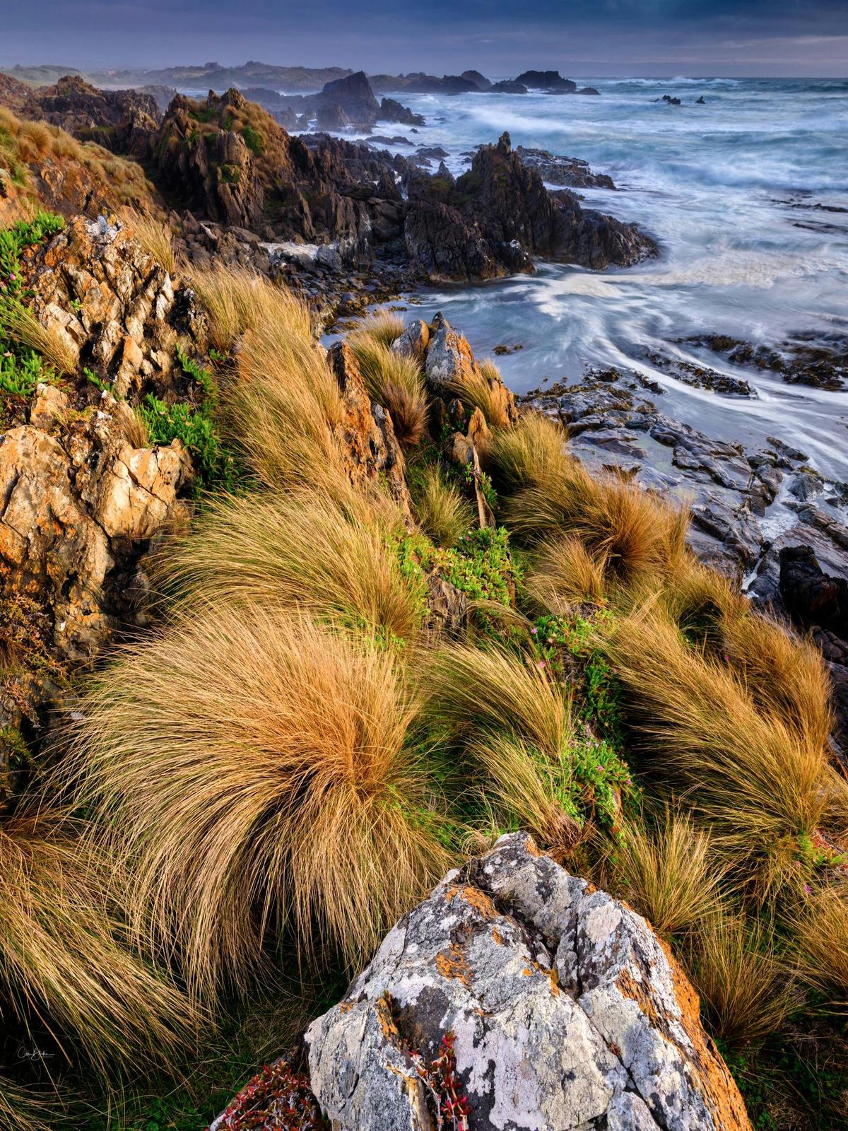 takayna/Tarkine Photography Workshop