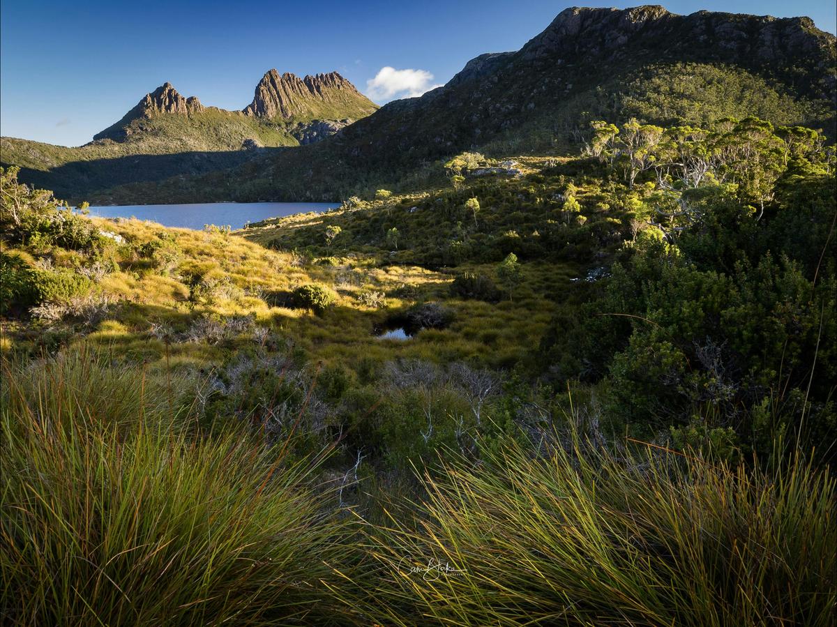 Overland Track Photo Tour