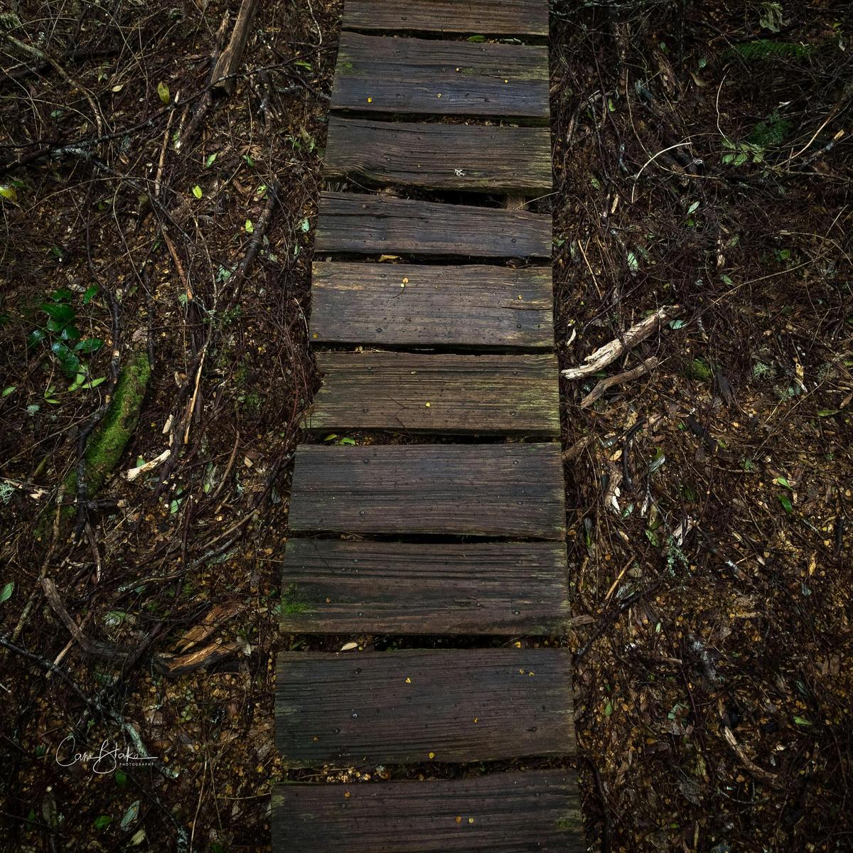 Overland Track Photo Tour