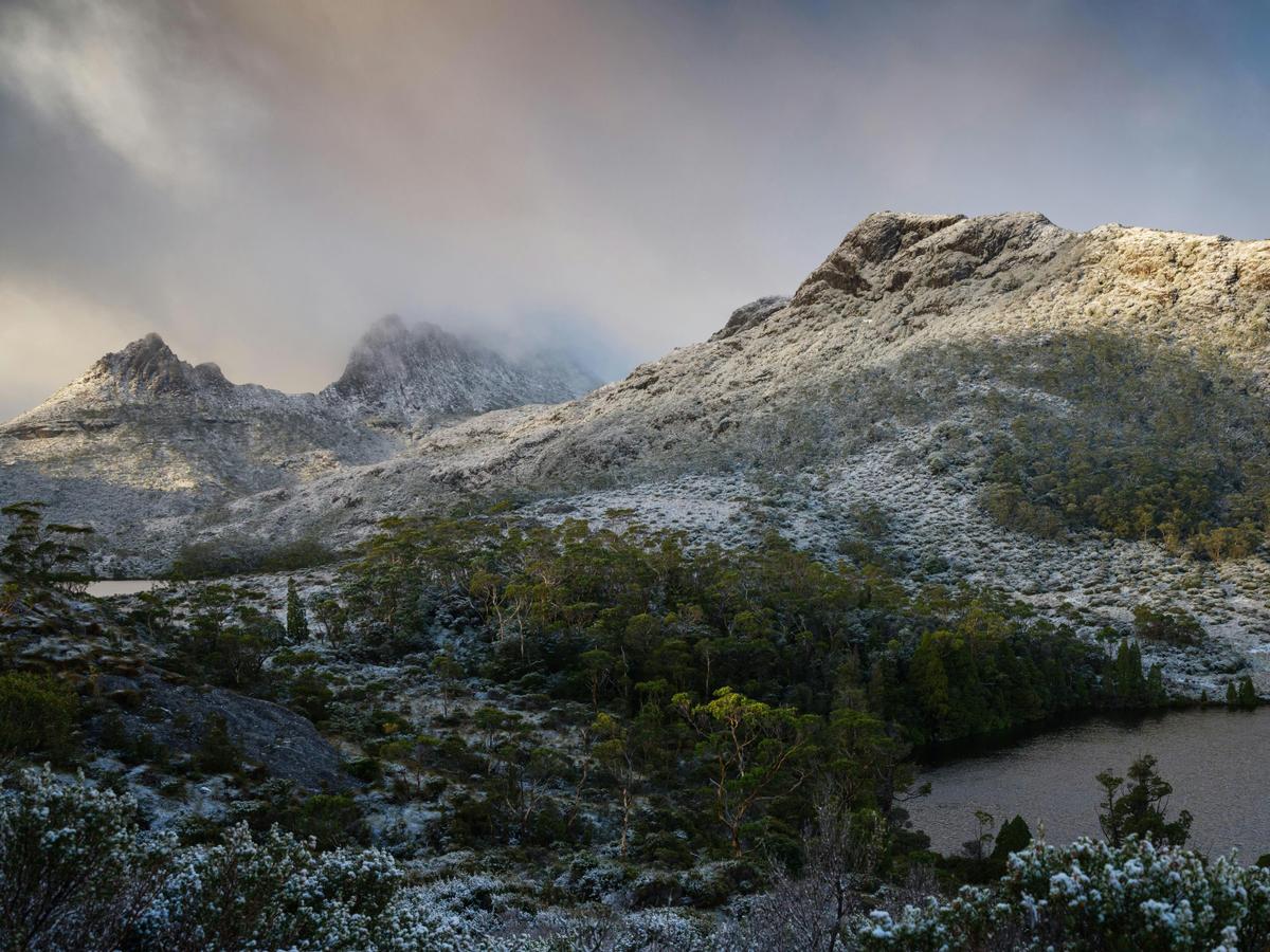 Overland Track Photo Tour