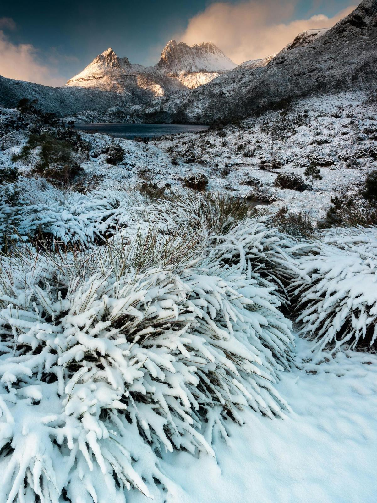 Cradle Mountain Photography Workshop