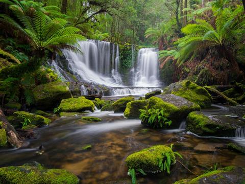Mt Field & Southwest Photography Workshop