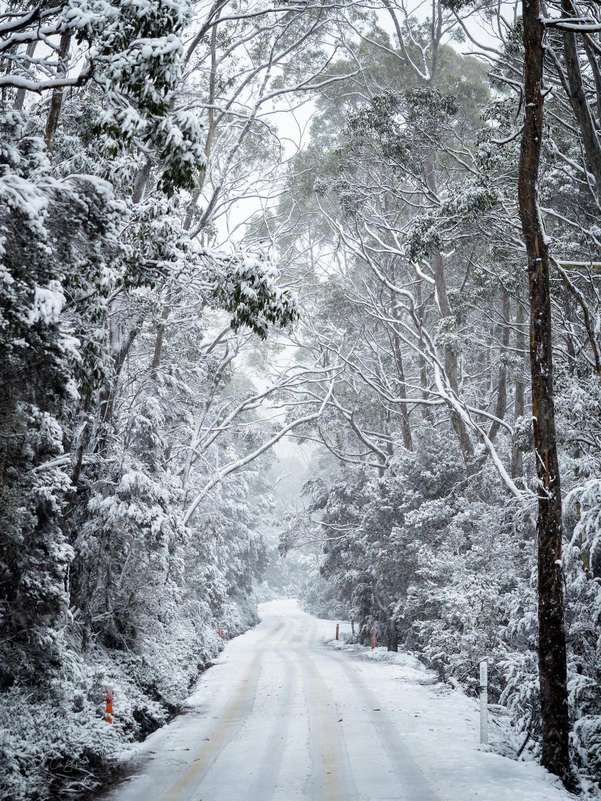 Cradle Mountain Photography Workshop