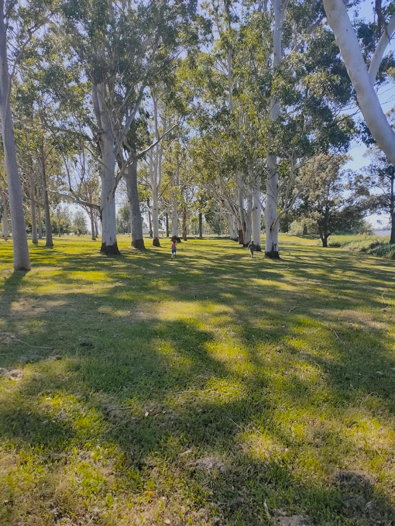 Strontian Park
