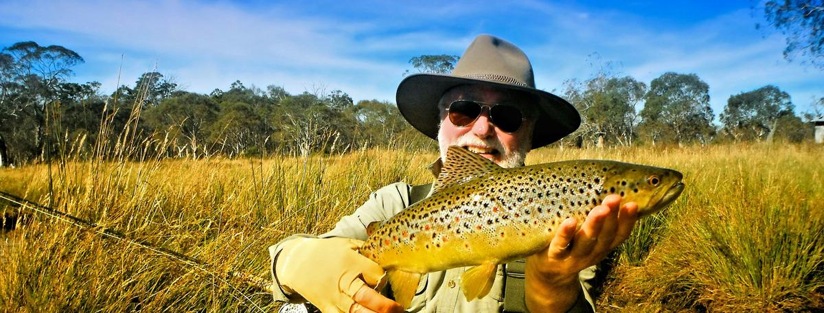 Tasmanian Brown Trout