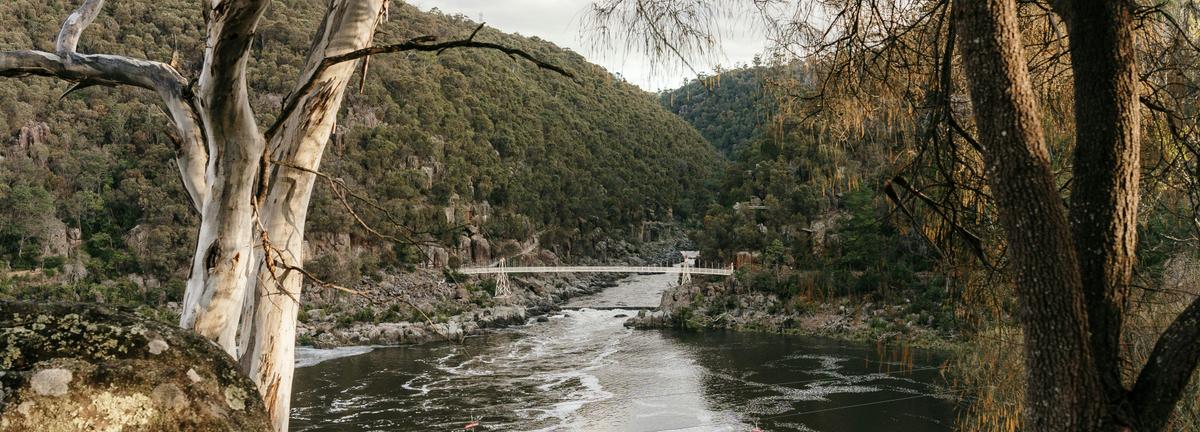 The Cataract Gorge bridge framed by Tasmanian bushland and river views