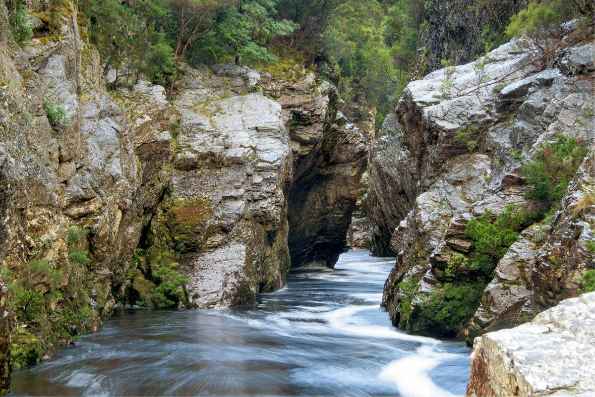 Franklin River Rafting - 8 days