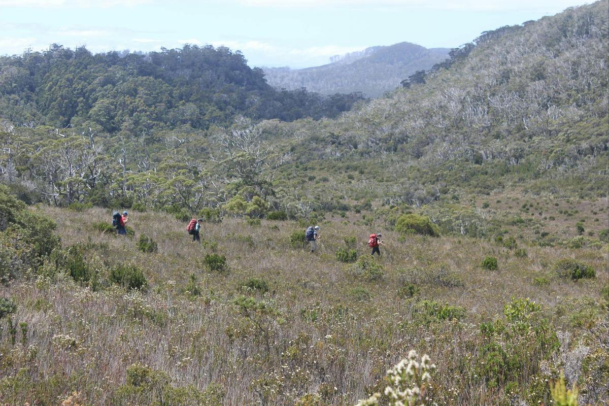 South Coast Track - 8 days