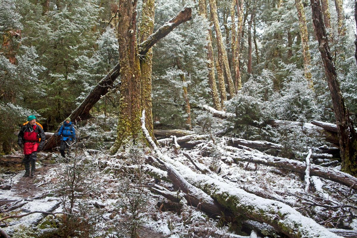 Overland Track Winter Trek - 6 days
