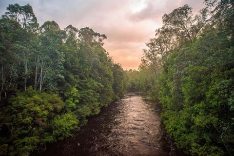 Franklin River and Frenchmans Cap - 10 days