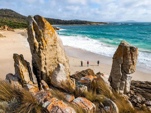 Flinders Island Walking Adventure - In Comfort