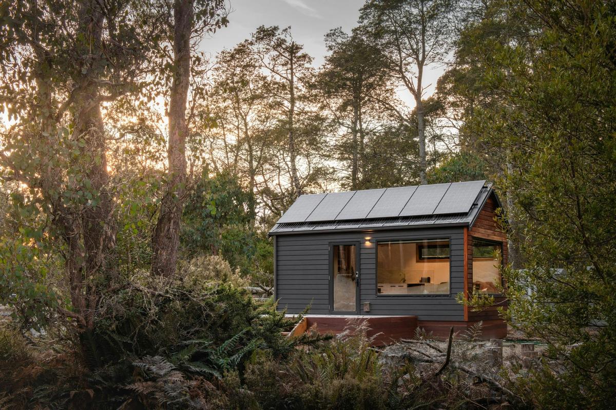 Wilderness Tiny
