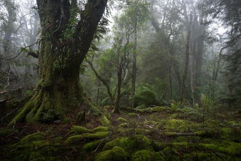 Photography Tour - East Coast Tasmania