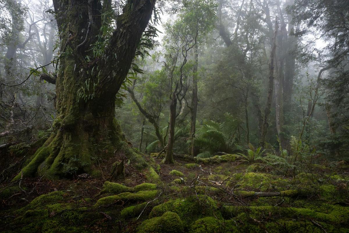 Photography Tour - East Coast Tasmania