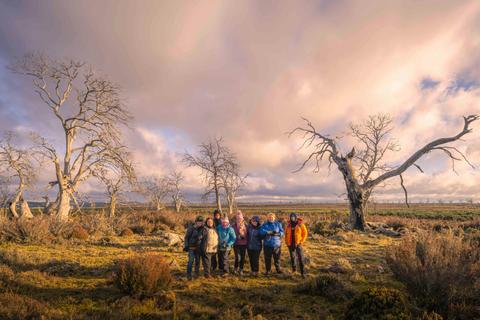 Photography Tour - Cider Gums of Tasmania