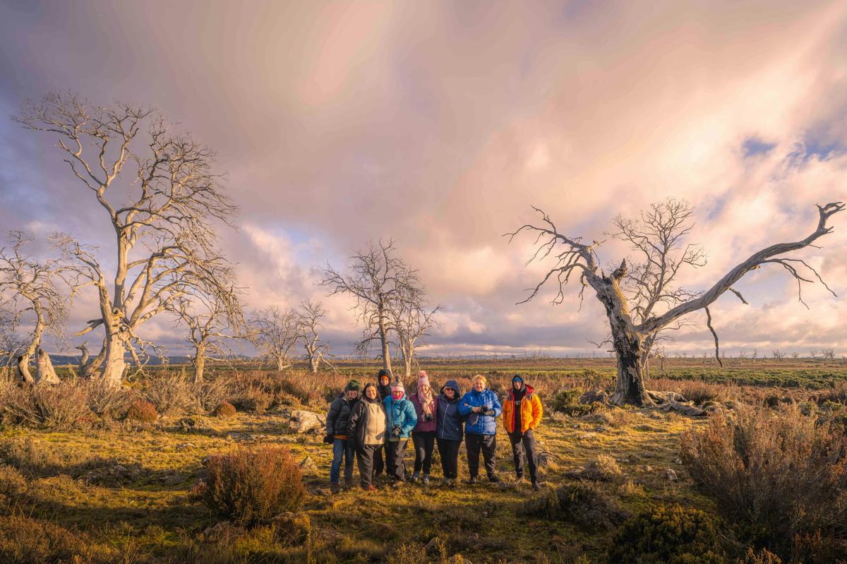 Photography Tour - Cider Gums of Tasmania