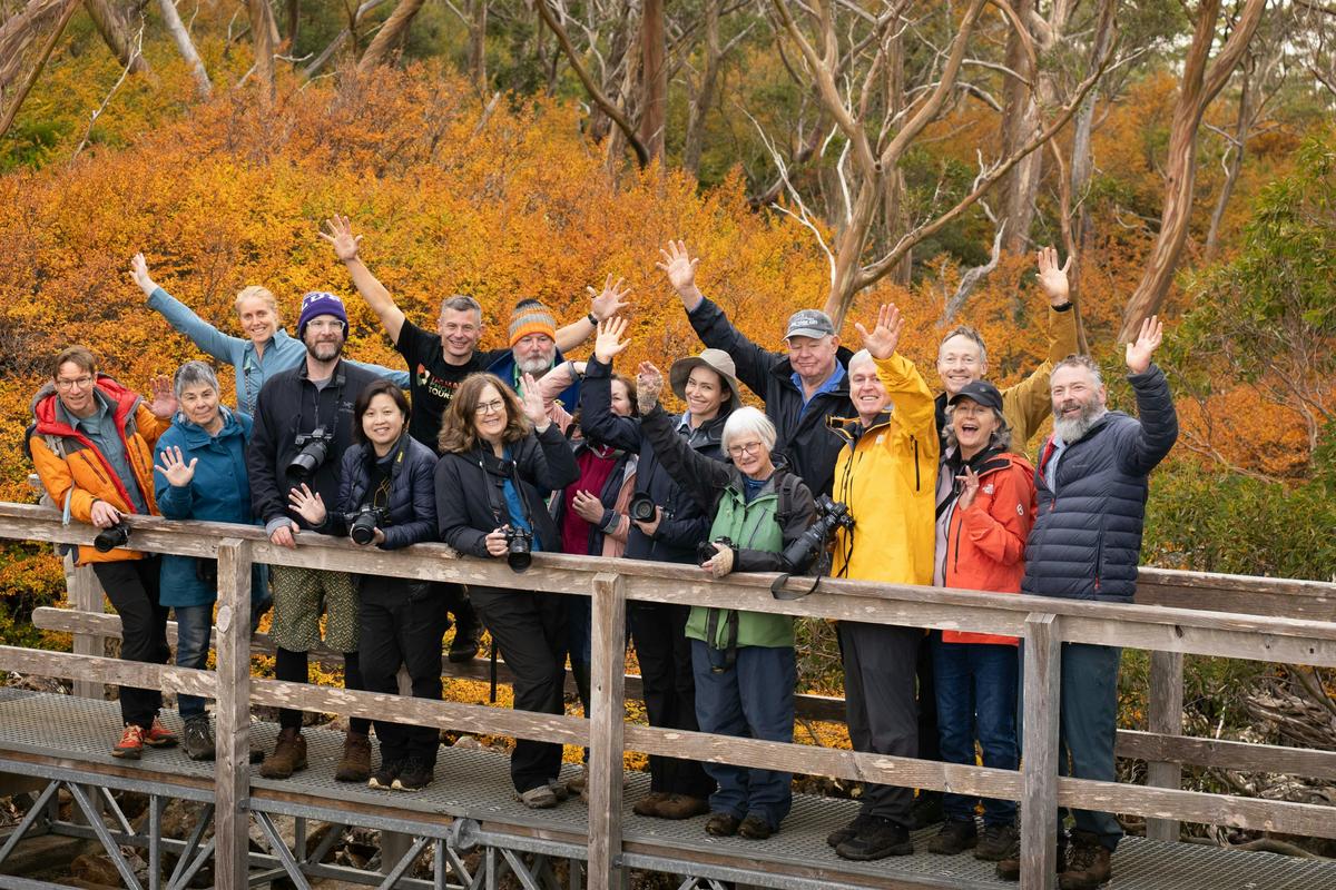 Photography Tour - Fungi and Fagus