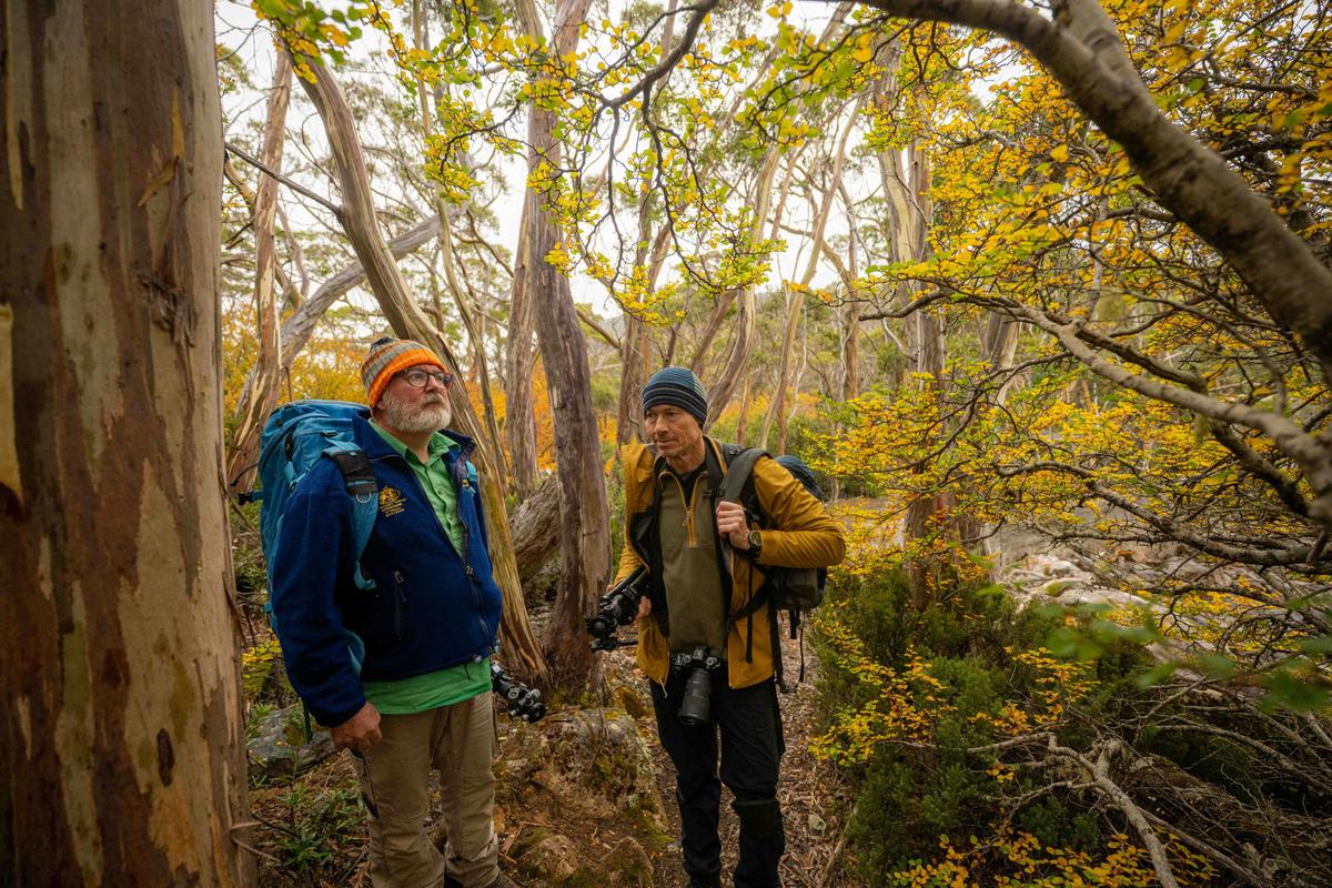 Photography Tour - Fungi and Fagus