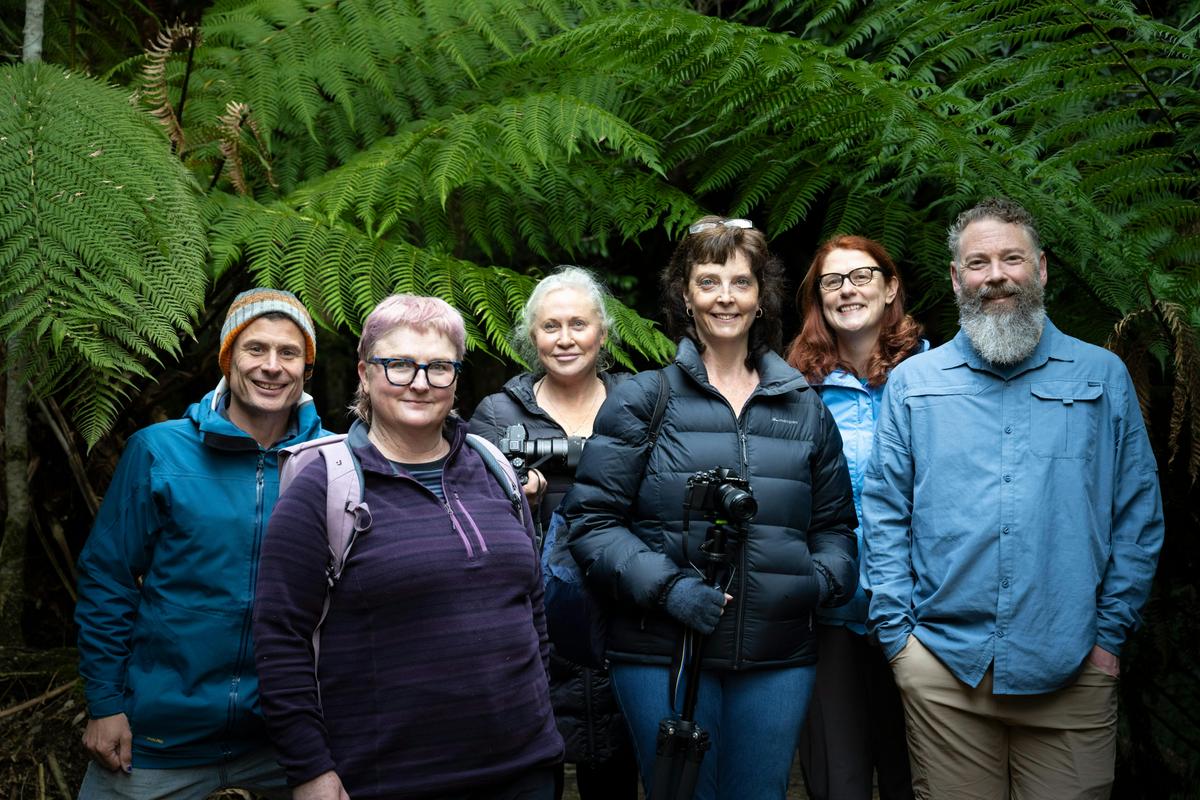 Fungi Workshop