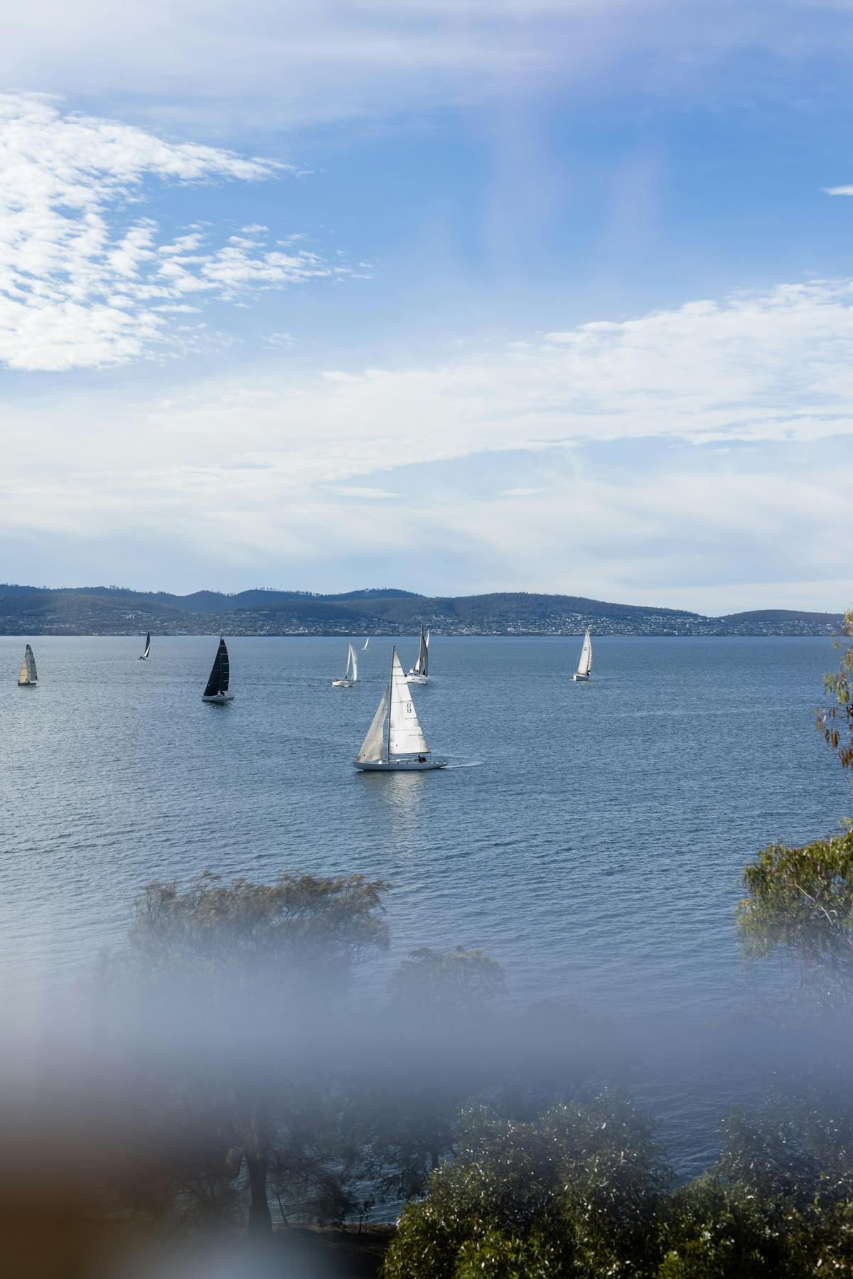 Harbour views