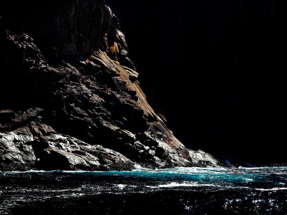 'Source' Limited Edition Fine Art Photograph by Emma Coombes, The Elm & the Raven