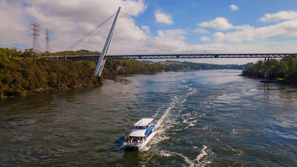 Tamar River Cruises